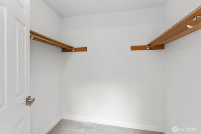 walk in closet with light carpet