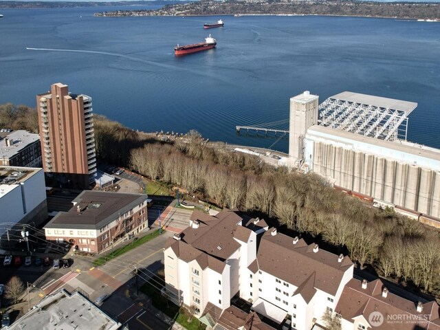 aerial view with a water view