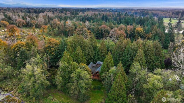 9957 Peace Rd, Blaine, WA 98230 - photo 38