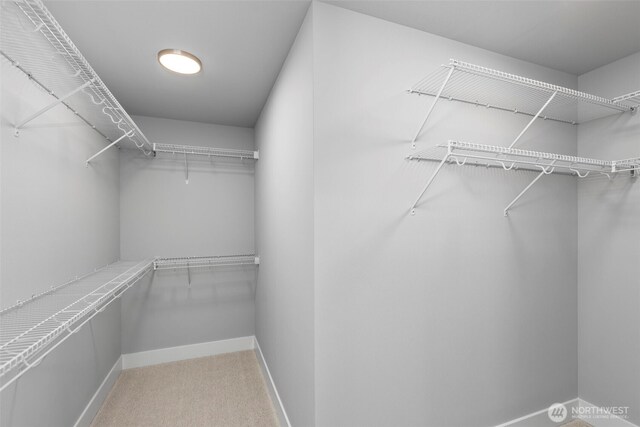 18 160th St SE, Bothell, WA 98012 - spacious closet featuring carpet floors