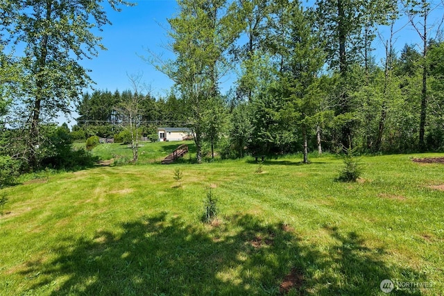 280 Antrim Rd, Winlock, WA 98596 - view of grassy yard