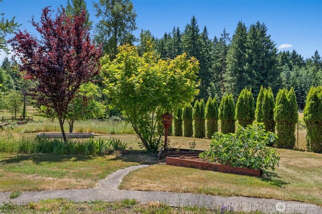 280 Antrim Rd, Winlock, WA 98596 - photo 28