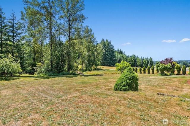 280 Antrim Rd, Winlock, WA 98596 - photo 30