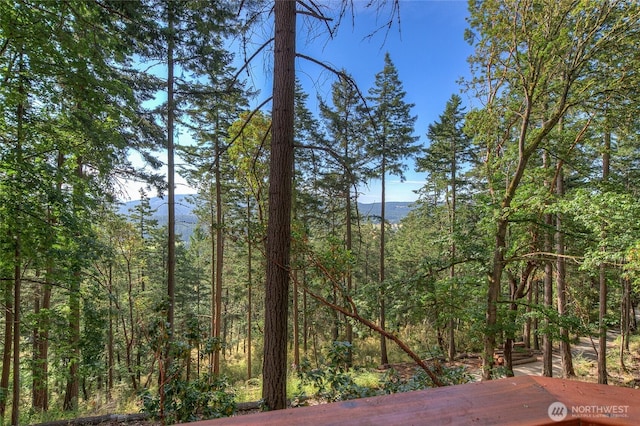 300 Pleasure Horse Rd, Orcas Island, WA 98245 - photo 3