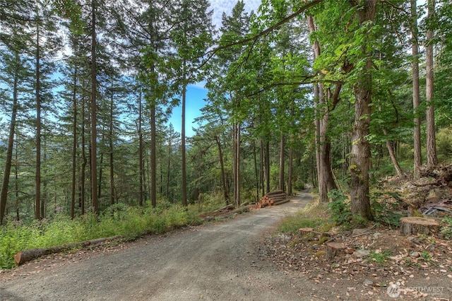 300 Pleasure Horse Rd, Orcas Island, WA 98245 - photo 22