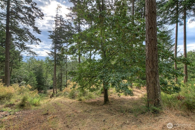 300 Pleasure Horse Rd, Orcas Island, WA 98245 - photo 33