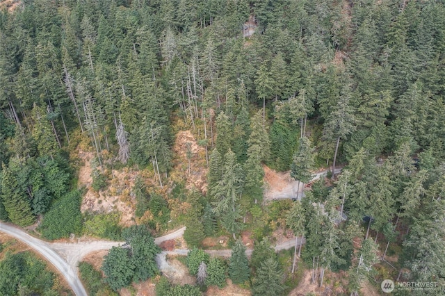 300 Pleasure Horse Rd, Orcas Island, WA 98245 - photo 39