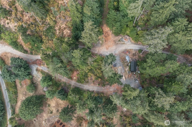 300 Pleasure Horse Rd, Orcas Island, WA 98245 - photo 40
