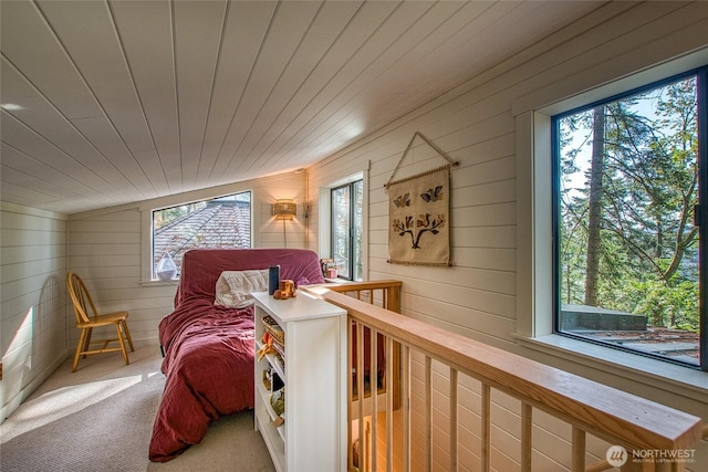 300 Pleasure Horse Rd, Orcas Island, WA 98245 - photo 20