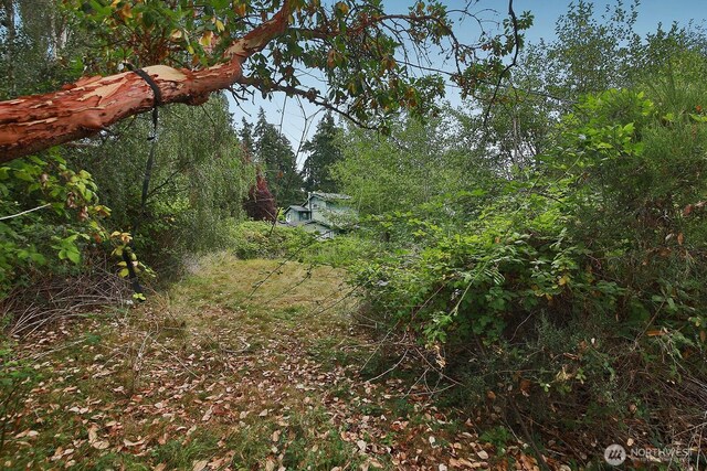 0NHN S Ralph Rd, Freeland, WA 98249 - photo 3
