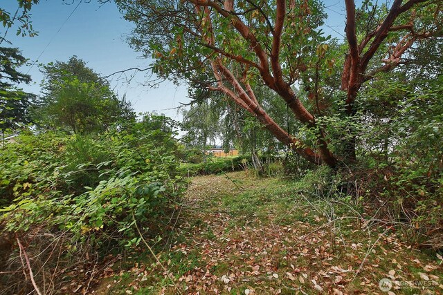 0NHN S Ralph Rd, Freeland, WA 98249 - photo 4