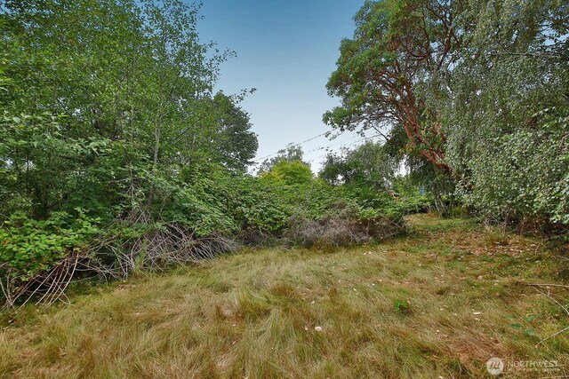 0NHN S Ralph Rd, Freeland, WA 98249 - photo 5
