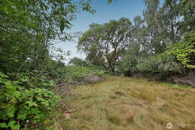 0NHN S Ralph Rd, Freeland, WA 98249 - photo 6