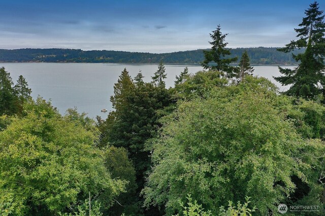 0NHN S Ralph Rd, Freeland, WA 98249 - photo 30