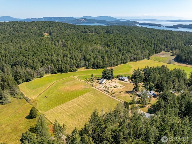 631 Cousins Rd, Lopez Island, WA 98261 - aerial view with a mountain view and a view of trees