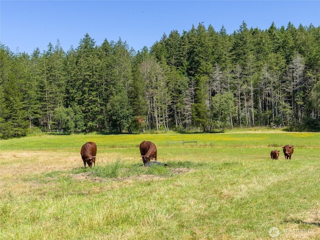 631 Cousins Rd, Lopez Island, WA 98261 - view of yard with a rural view