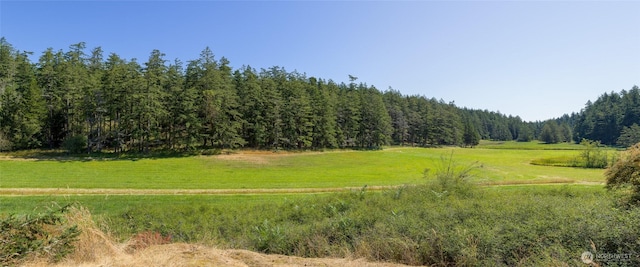 631 Cousins Rd, Lopez Island, WA 98261 - view of local wilderness featuring a rural view and a wooded view