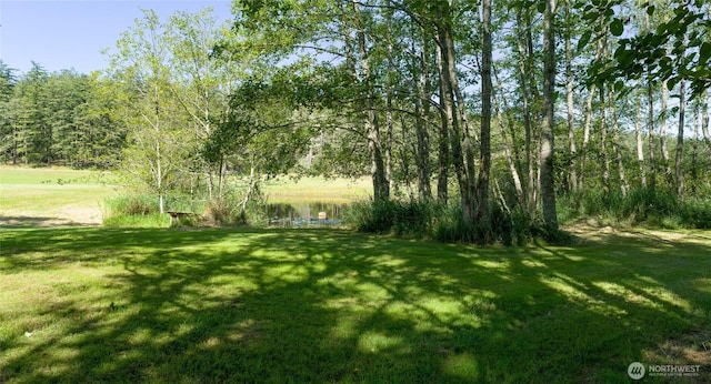 631 Cousins Rd, Lopez Island, WA 98261 - view of yard