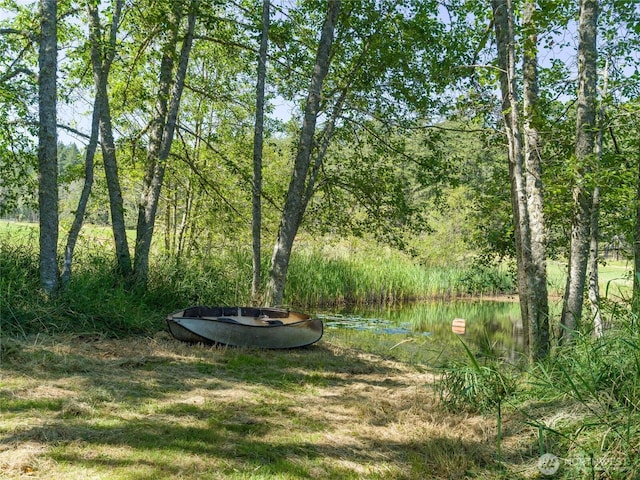 631 Cousins Rd, Lopez Island, WA 98261 - view of yard