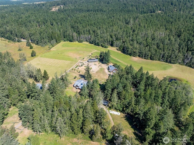 631 Cousins Rd, Lopez Island, WA 98261 - bird's eye view with a wooded view