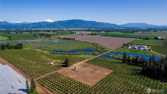 9919 Holmquist Rd, Lynden, WA 98264 - photo 2