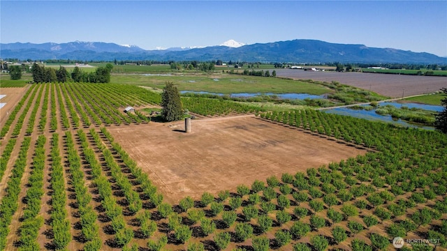 9919 Holmquist Rd, Lynden, WA 98264 - photo 4