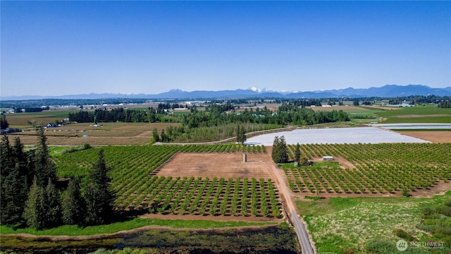 9919 Holmquist Rd, Lynden, WA 98264 - photo 5