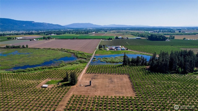 9919 Holmquist Rd, Lynden, WA 98264 - photo 8