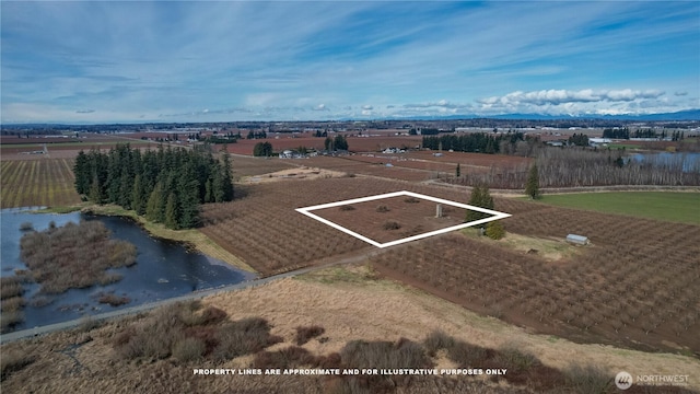 9919 Holmquist Rd, Lynden, WA 98264 - photo 10