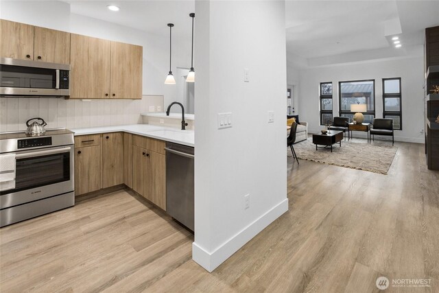 kitchen featuring open floor plan, light wood-type flooring, light countertops, stainless steel appliances, and a sink