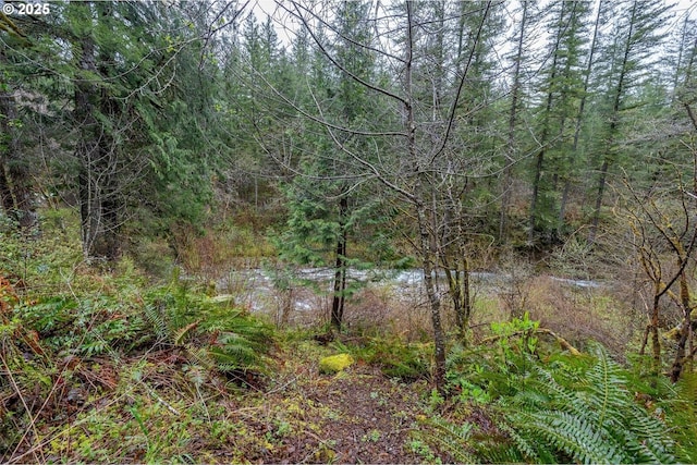 1261 Mathews Rd, Washougal, WA 98671 - view of wooded area