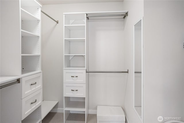 view of spacious closet