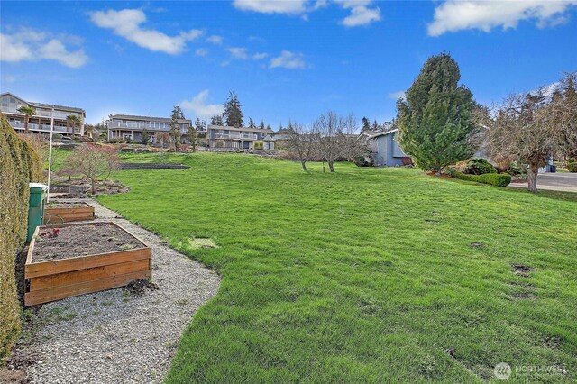 view of yard featuring a garden
