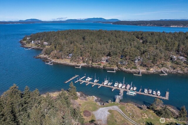 569 Island Dr, Friday Harbor, WA 98250 - photo 37