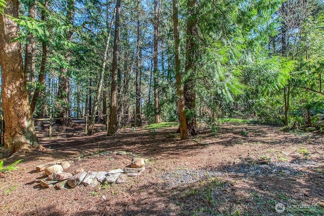 569 Island Dr, Friday Harbor, WA 98250 - photo 35