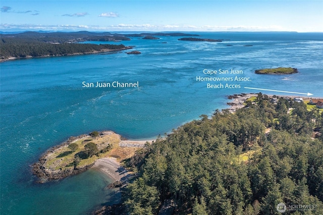 569 Island Dr, Friday Harbor, WA 98250 - photo 38