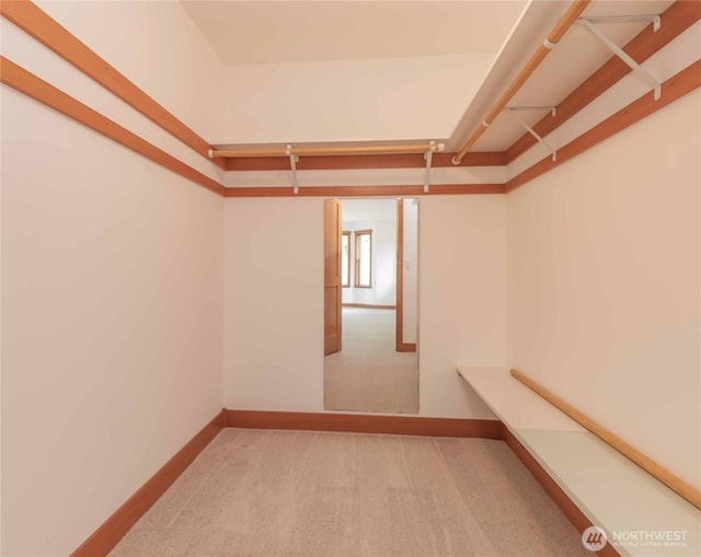 4195 Windy Cove Ln, Clinton, WA 98236 - walk in closet with carpet floors