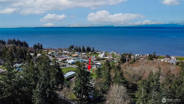 4195 Windy Cove Ln, Clinton, WA 98236 - birds eye view of property featuring a water view