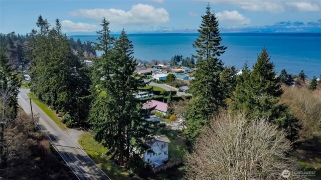 4195 Windy Cove Ln, Clinton, WA 98236 - aerial view with a water view