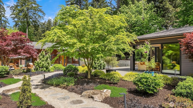 11012 Skinner Rd NE, Bainbridge Island, WA 98110 - view of yard