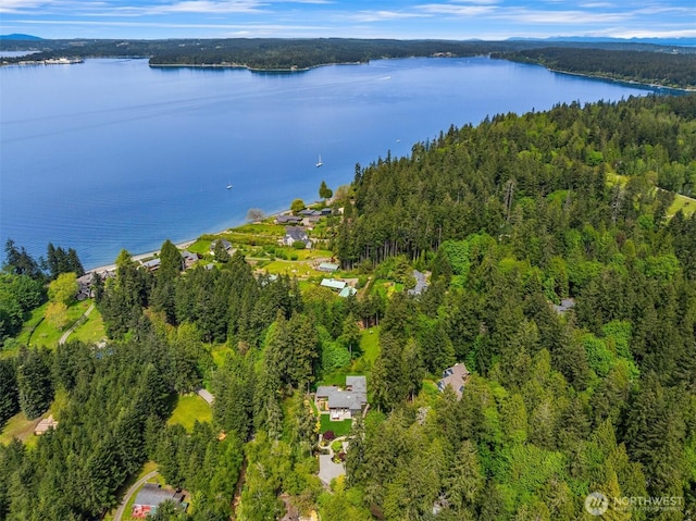 11012 Skinner Rd NE, Bainbridge Island, WA 98110 - aerial view of property's location featuring a forest and a large body of water