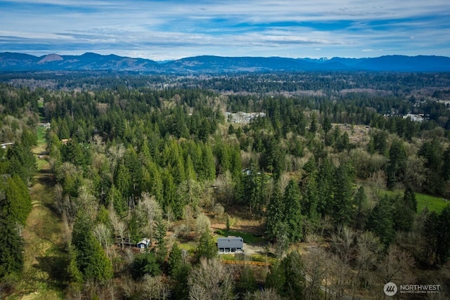 bird's eye view of mountains and a forest