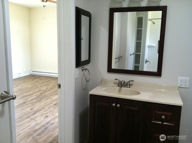 81B Golden Rd, Oroville, WA 98844 - bathroom with a baseboard heating unit, vanity, and wood finished floors