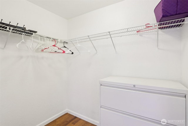 705 NE 143rd Ave Unit A1, Bellevue, WA 98007 - spacious closet with wood finished floors