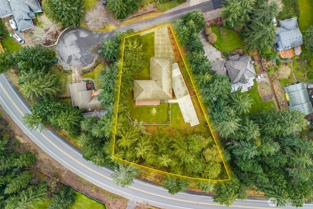 drone / aerial view