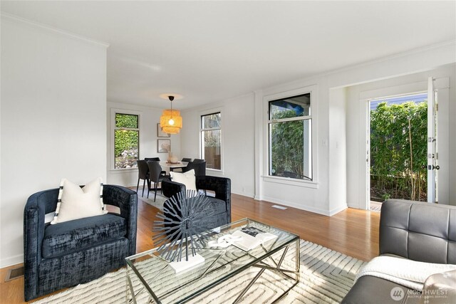 4712 S Angeline St, Seattle, WA 98118 - living area with wood finished floors, baseboards, and a wealth of natural light