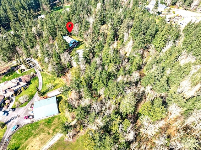 bird's eye view with a forest view