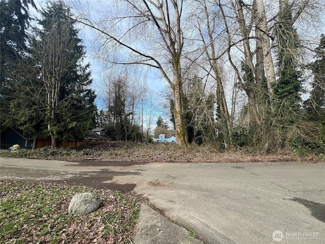 1403 Lybarger St SE, Olympia, WA 98501 - photo 1