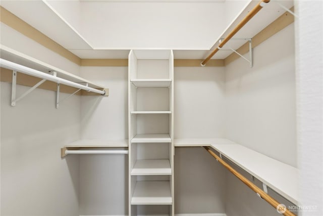 view of spacious closet
