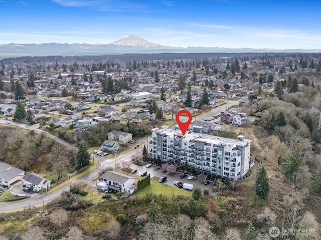 birds eye view of property featuring a mountain view